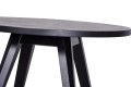 Skey A cofee table black oak Swarzedz Home DSC_6489_srgb_r.jpg