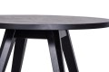 Skey A cofee table black oak Swarzedz Home DSC_6489_srgb_r2.jpg